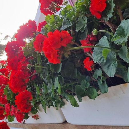 Finca Sa Cova De Mallorca Sencelles Exteriér fotografie