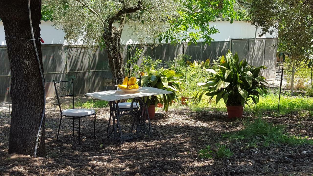 Finca Sa Cova De Mallorca Sencelles Exteriér fotografie