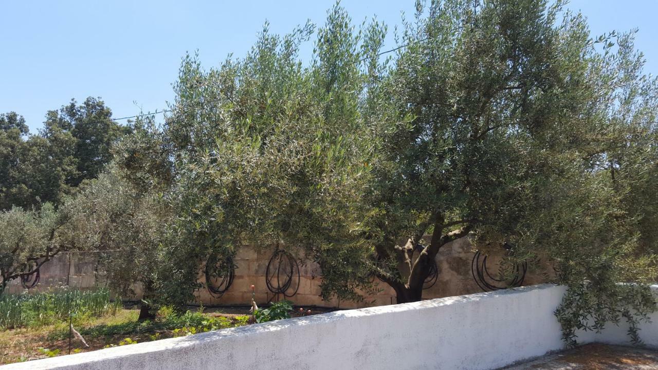 Finca Sa Cova De Mallorca Sencelles Exteriér fotografie