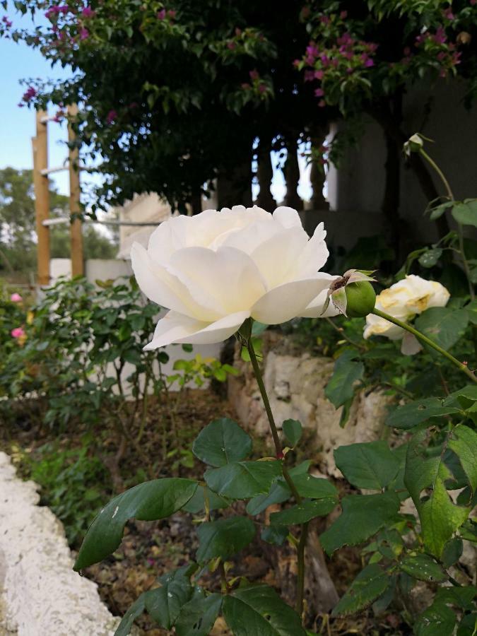 Finca Sa Cova De Mallorca Sencelles Exteriér fotografie