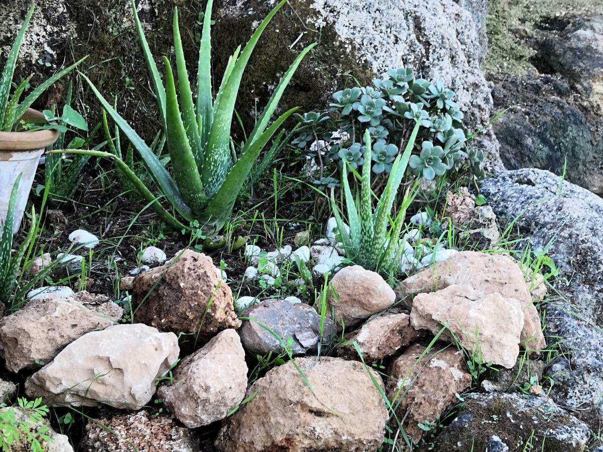 Finca Sa Cova De Mallorca Sencelles Exteriér fotografie