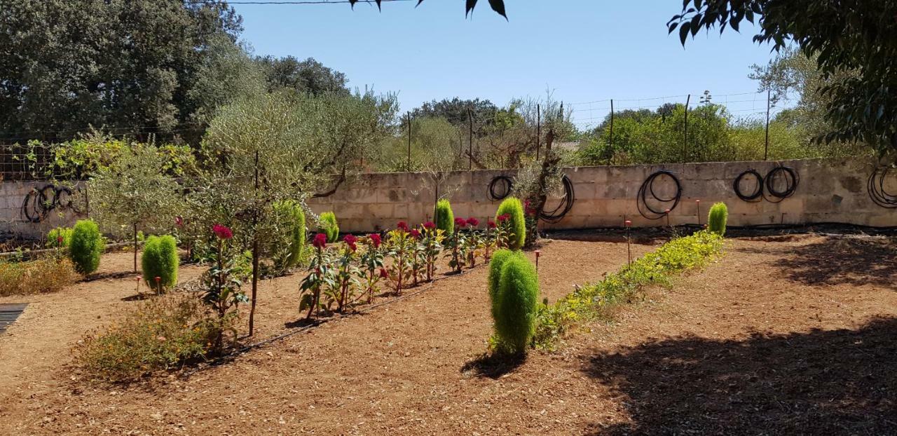 Finca Sa Cova De Mallorca Sencelles Exteriér fotografie
